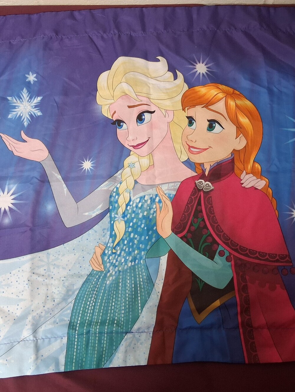 Disney Frozen Elsa And Anna Standard Size Pillow Sham